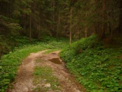 2013-08-17_Wettersteinhuette _Regina-F-Rau (077).JPG